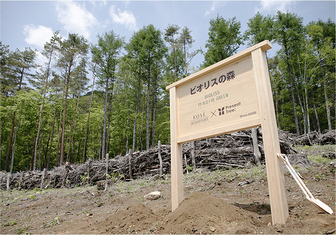 山梨県笛吹市での植樹活動