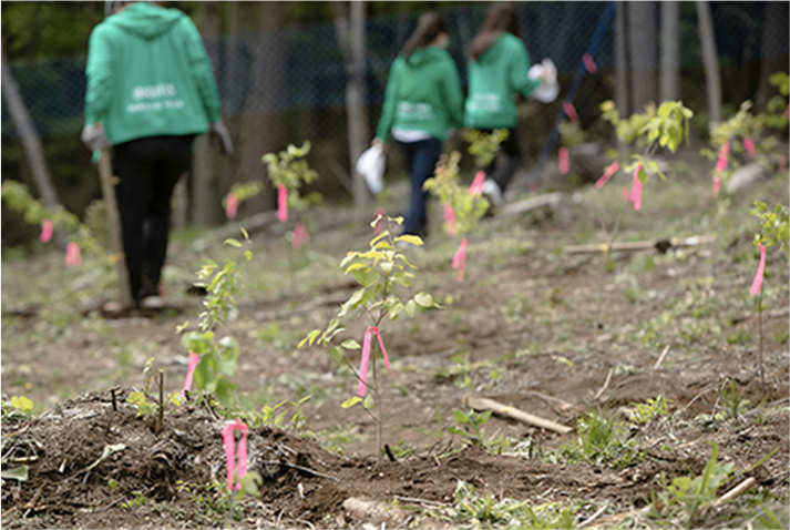 山梨県笛吹市での植樹活動