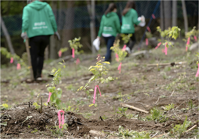 山梨県笛吹市での植樹活動