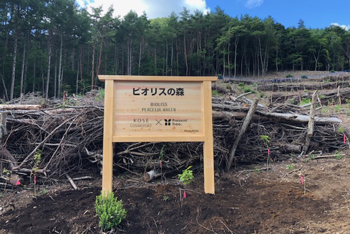 山梨県笛吹市での植樹活動