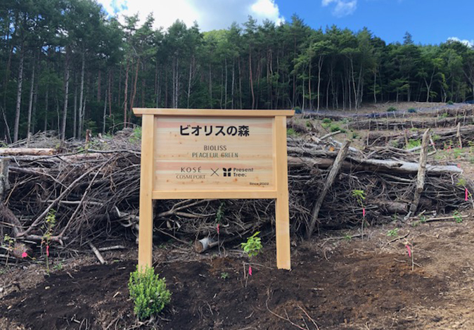 山梨県笛吹市での植樹活動