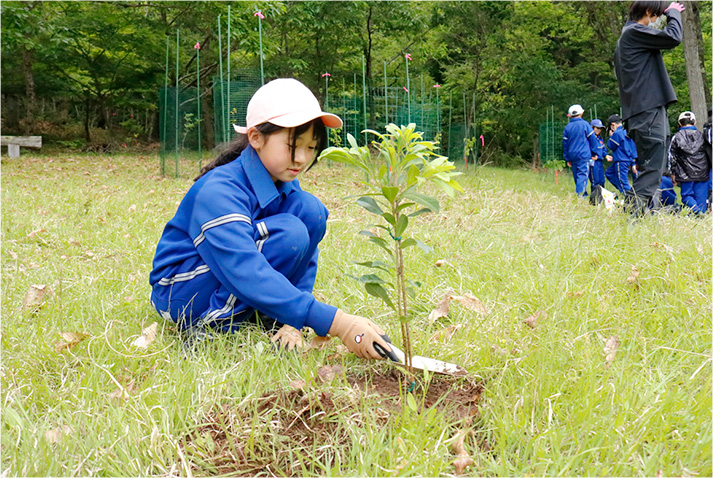 里山再生プロジェクトの様子