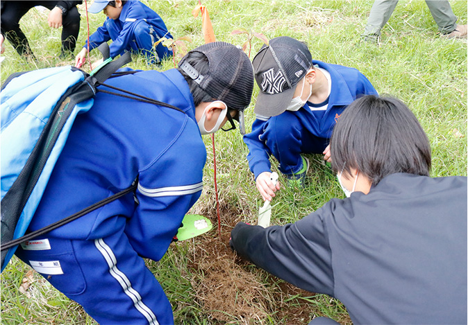 里山再生プロジェクトの様子