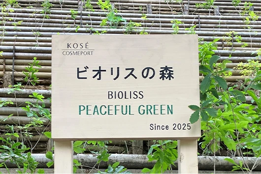 植樹活動の様子1